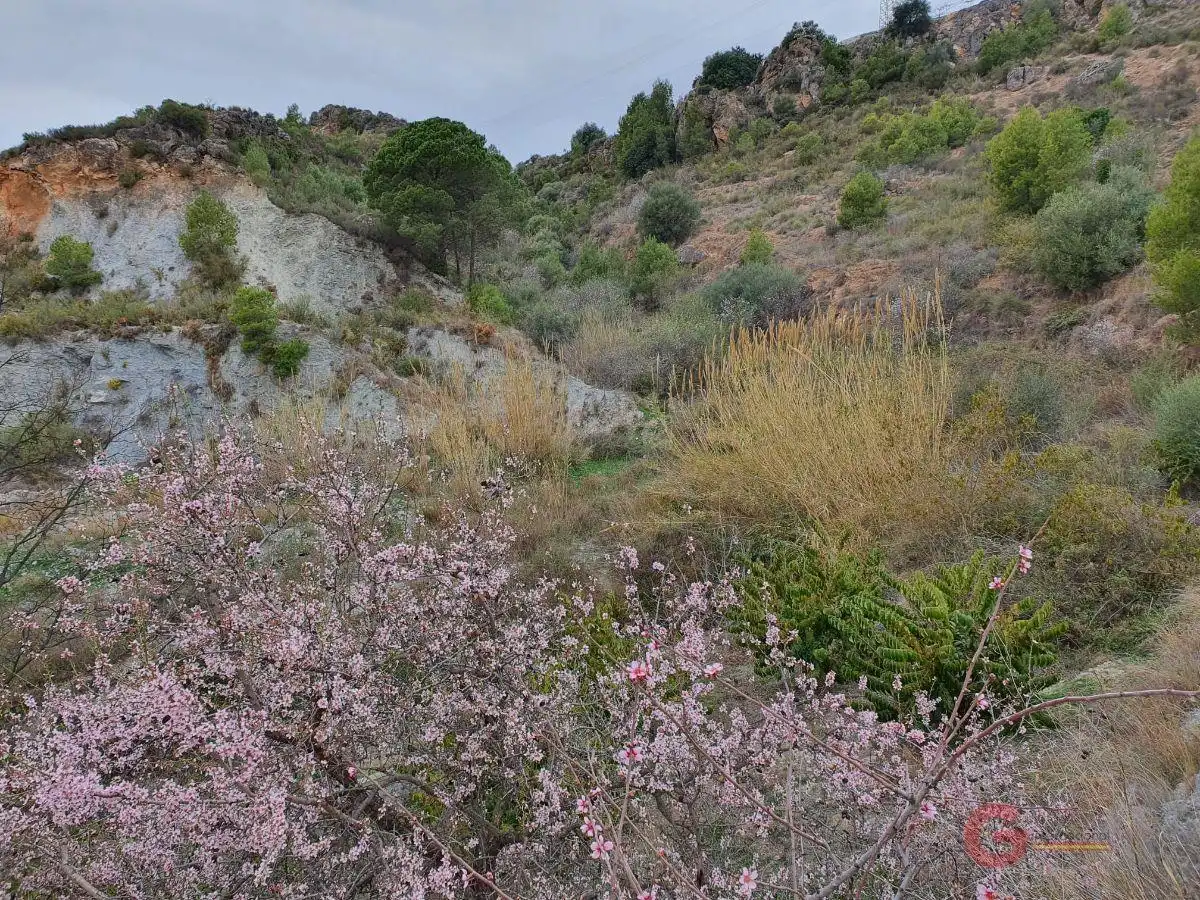 Casa rústica en venda a Molvízar, imagen 8