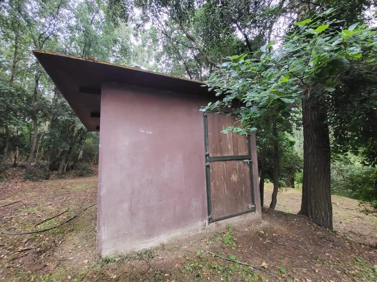 Vista exterior de Finca rústica en venta en Santa Coloma de Farners con Jardín privado y Terraza