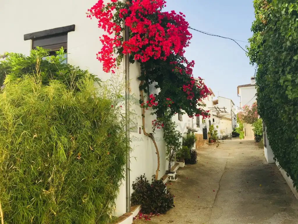 Vista exterior de Casa o chalet en venta en Benalauría