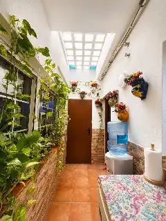 Jardí de Casa adosada en venda en Centro