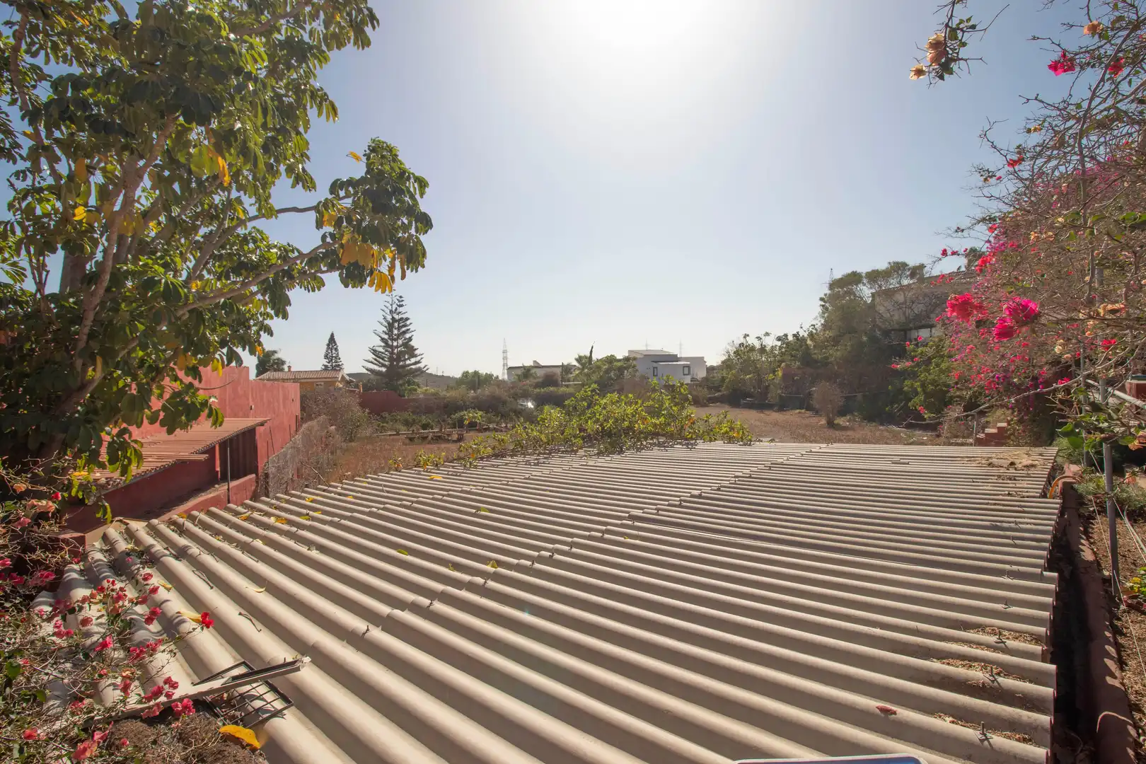 Exterior view of Houses for sale in San Miguel de Abona