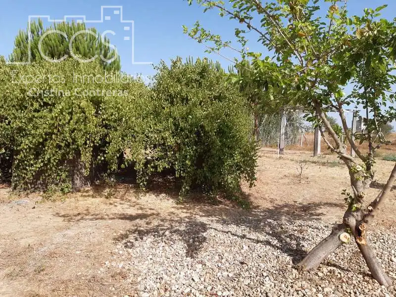 Casa rústica amb jardí en venda a Almonte ciudad, imagen 7