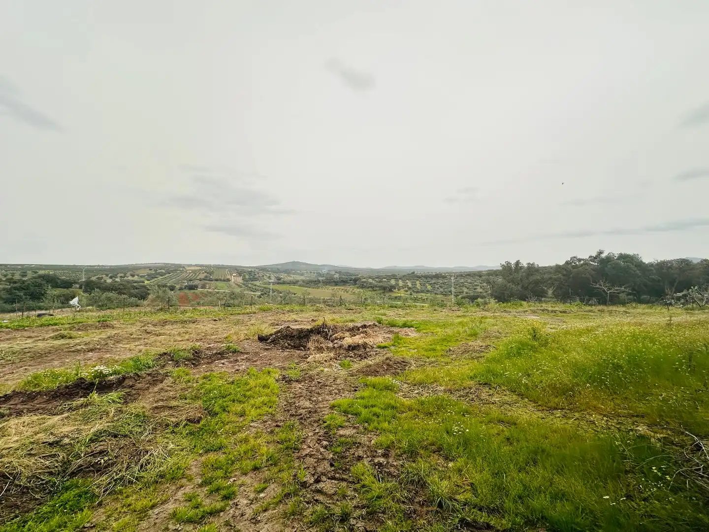 Finca rústica en venta en Oliva de Mérida
