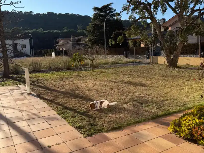 Vista exterior de Casa o chalet en venta en Sant Esteve de Palautordera, Barcelona