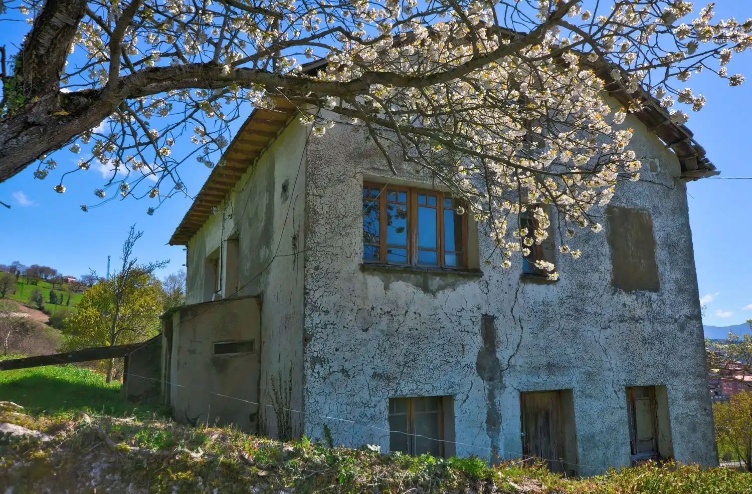 Vista exterior de Casa o chalet en venta en Tineo con Piscina