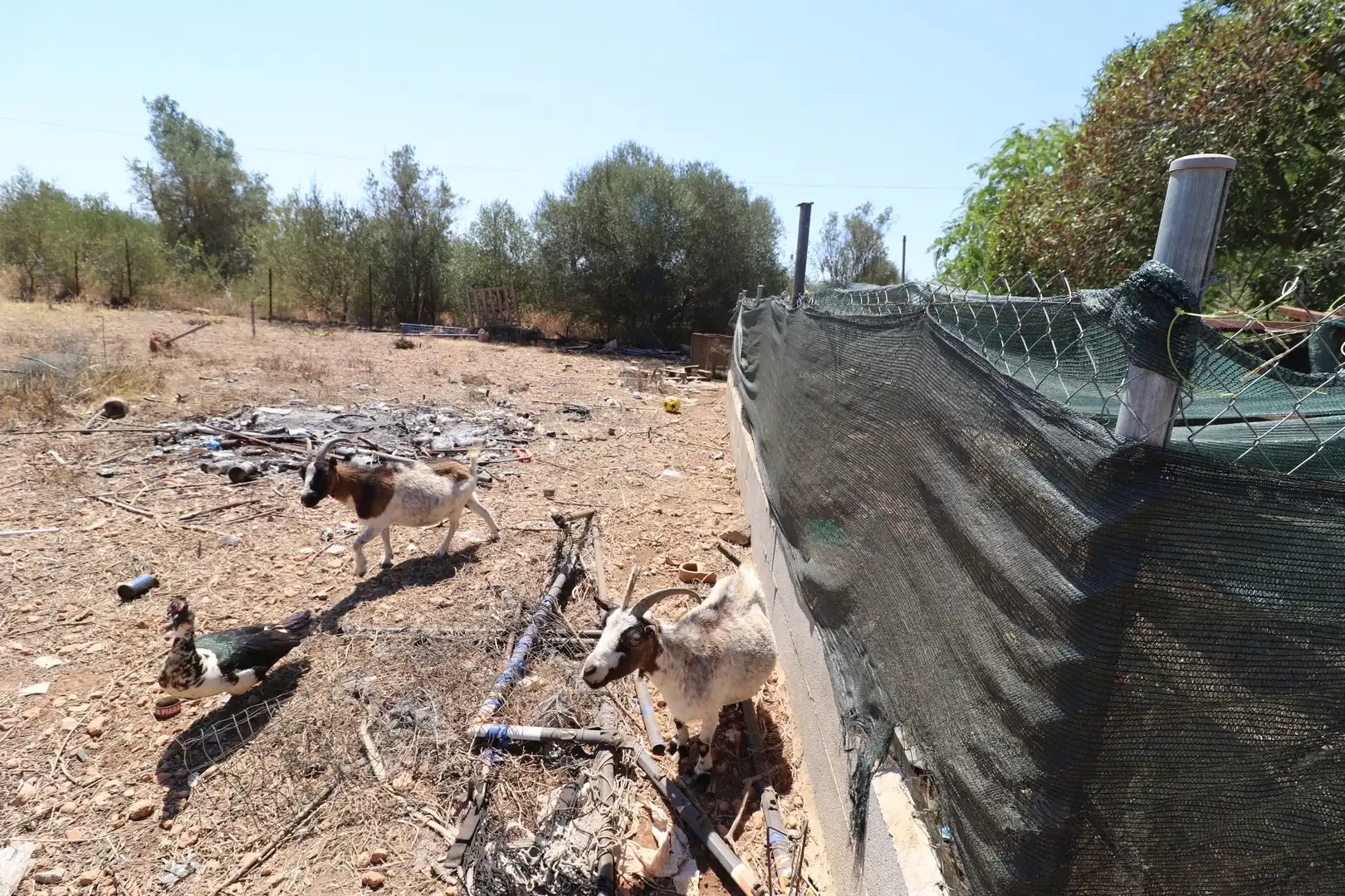 Finca rústica en venta en Llucmajor con Calefacción, Trastero y Piscina