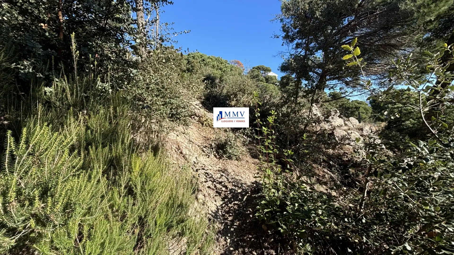 Terreno residencial en venta en Avinguda de les Civilitzacions, imagen 5
