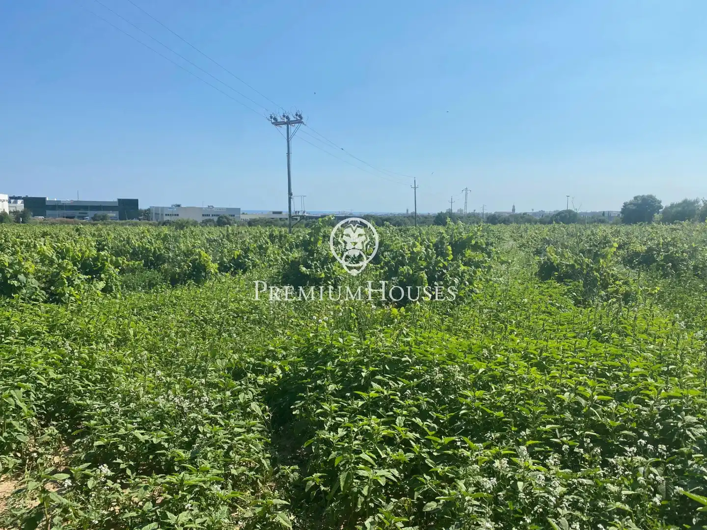 Finca rústica en venta en Vilanova i la Geltrú