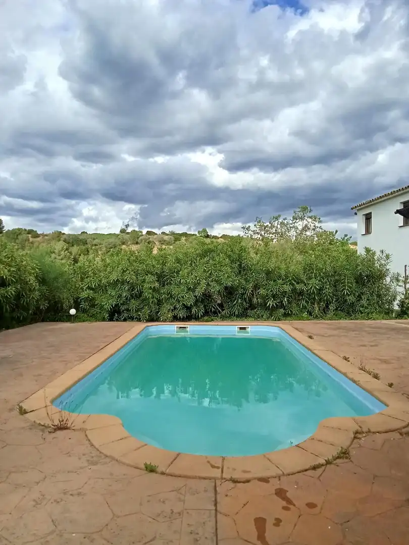 Piscina de Casa o xalet en venda en Sant Llorenç d'Hortons amb Calefacció, Jardí privat i Terrassa