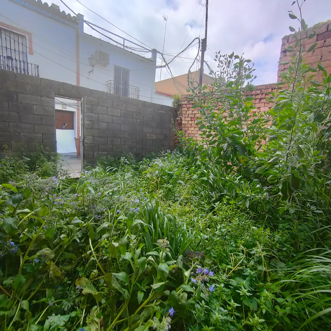 Residencial en venda en Sanlúcar la Mayor