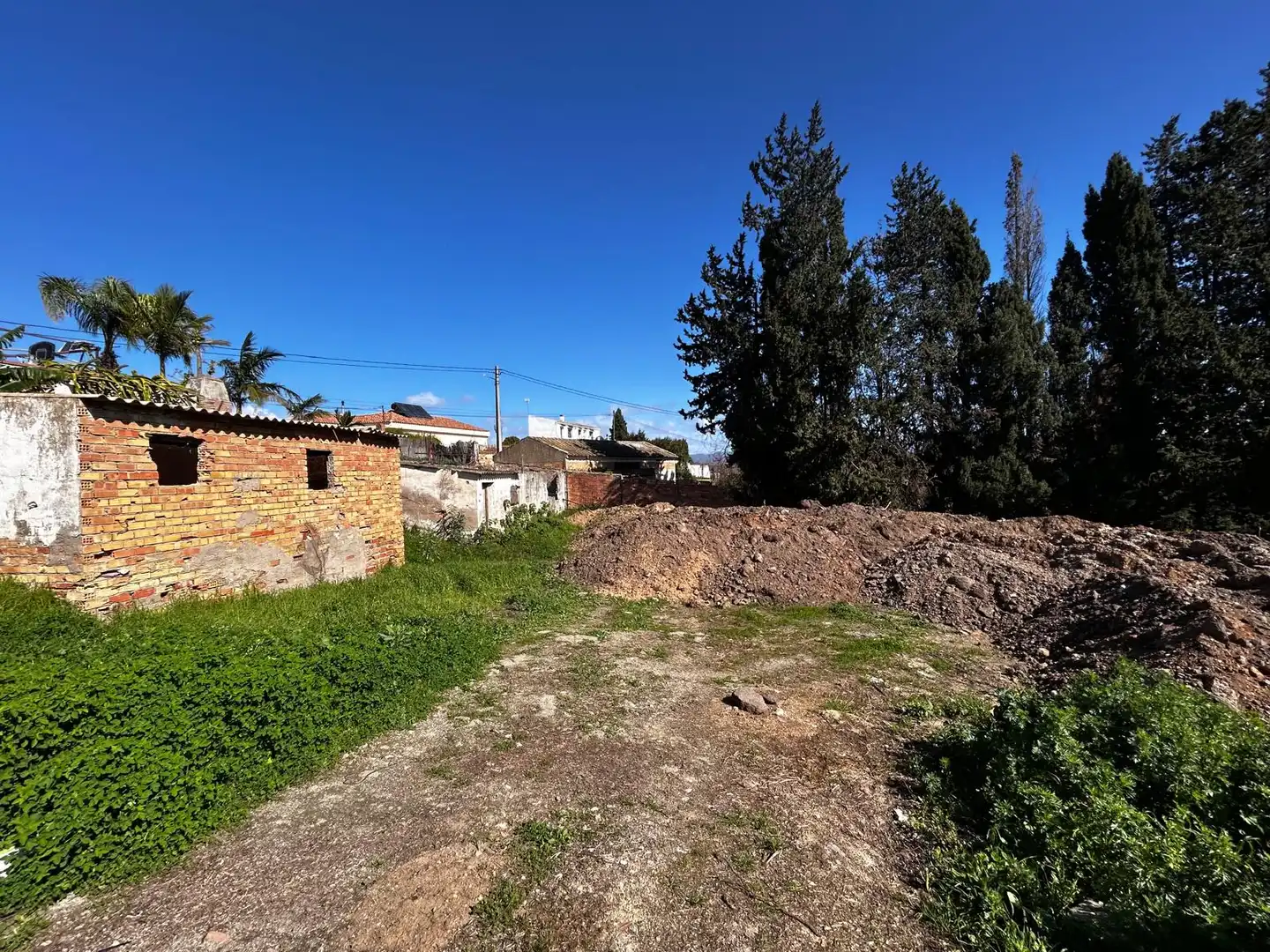 Rustikales Grundstück zum Verkauf in Calle Palomar, imagen 14