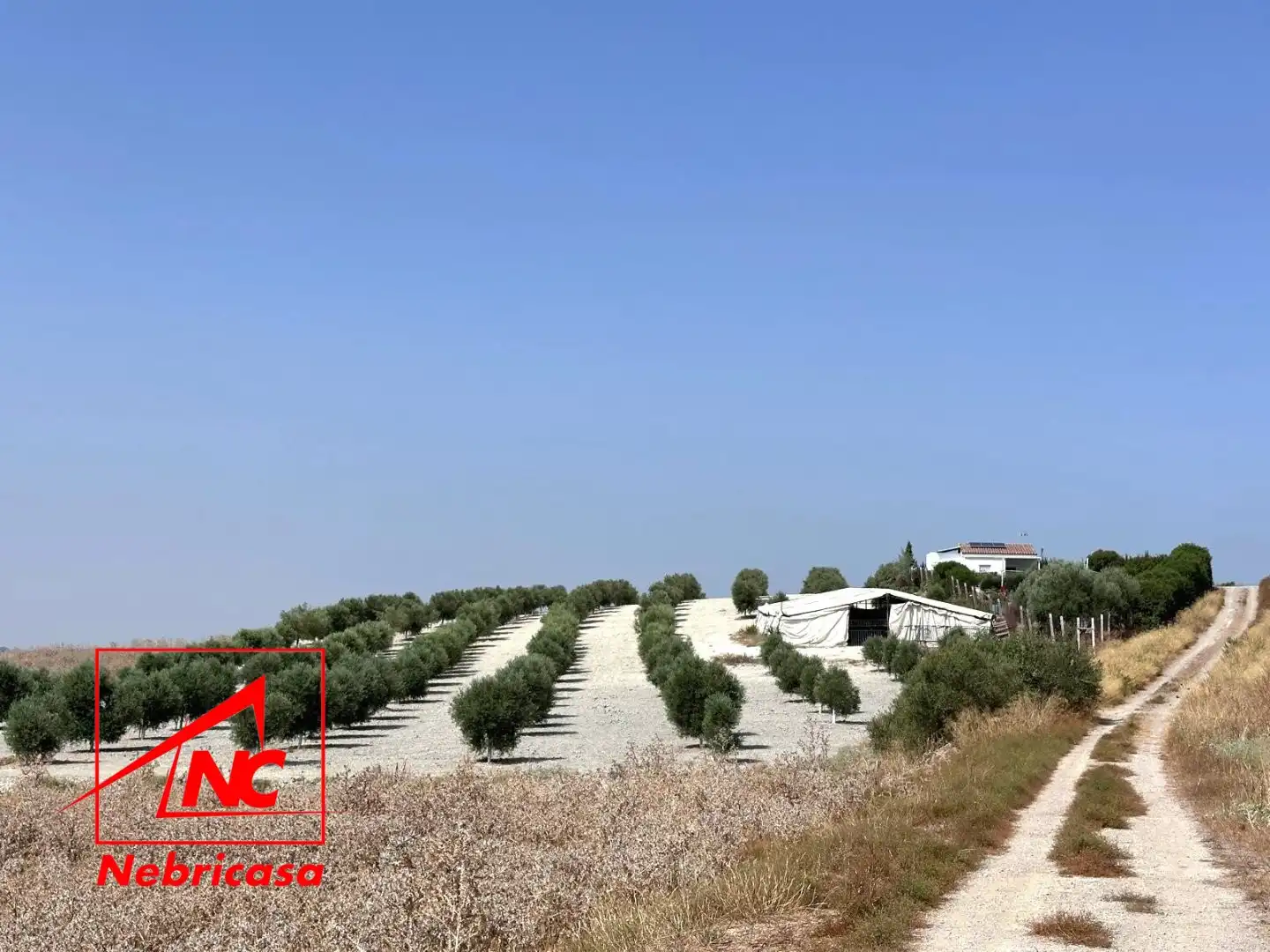 Finca rústica en venda en Lebrija amb Aire condicionat i Moblat