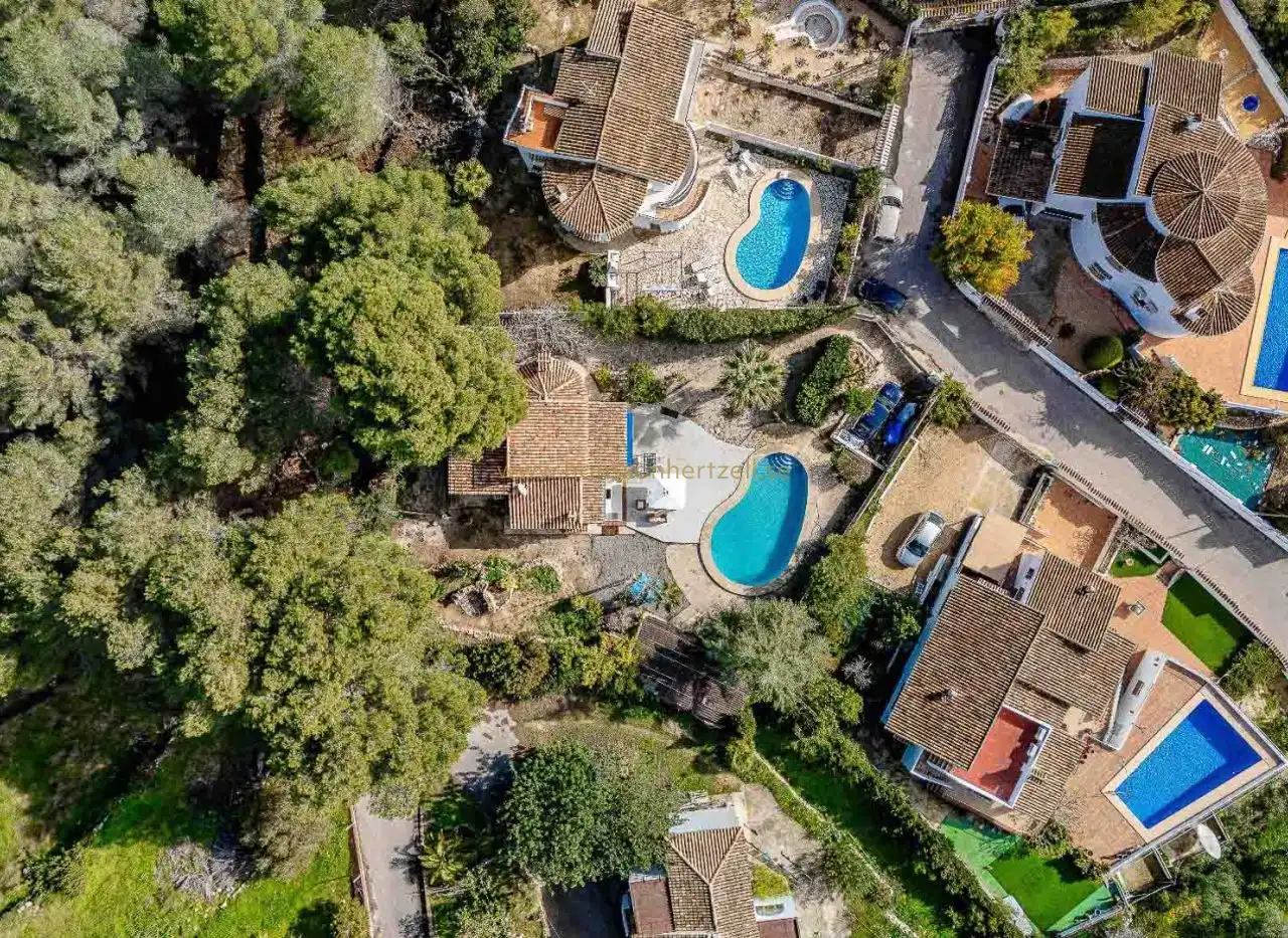 Exterior view of Houses for sale in Alicante / Alacant