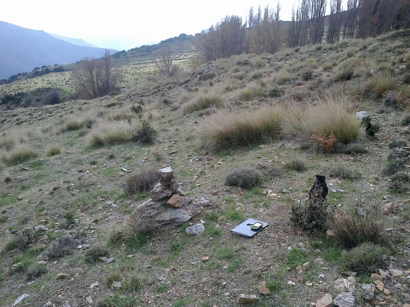 Rural land for sale in Laujar de Andarax, imagen 8