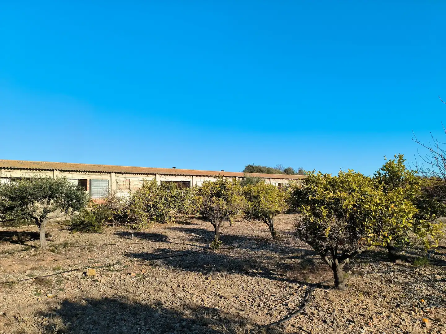 Vista exterior de Terreno en venta en La Ràpita