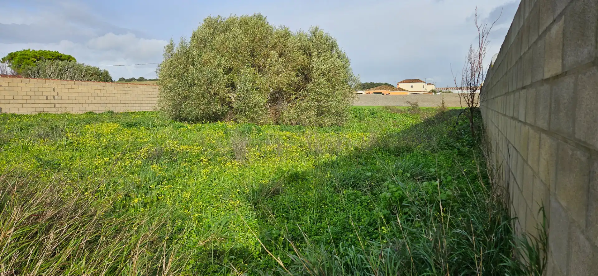 Rural land for sale in Las Lagunas - Campano, imagen 5