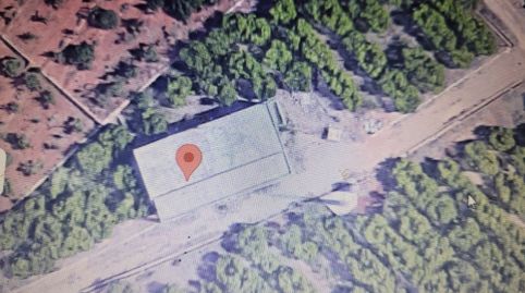 Finca Rúst. en venta en Onda.