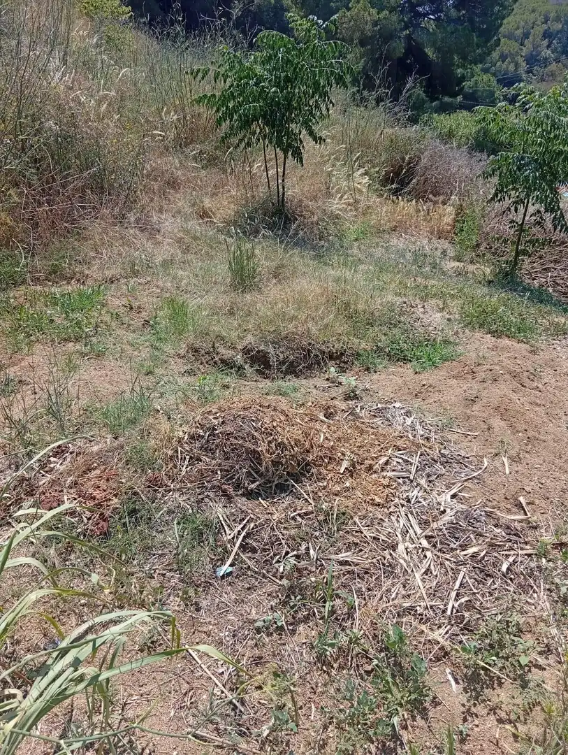 Terreno en venta en Calella