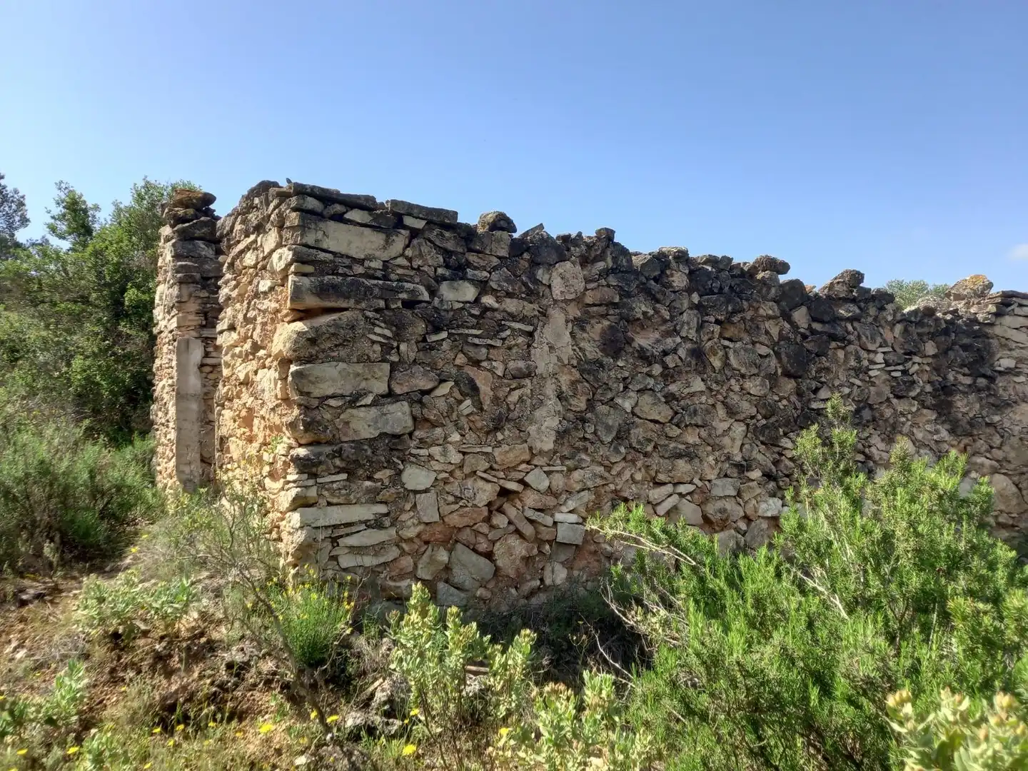 Terreny rústic en venda a Miravet