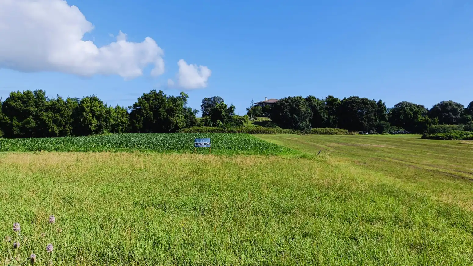 Terreni e lotti in vendita a Gajano - CARRETERA 141, GAJANO