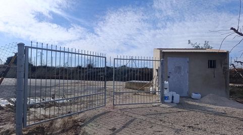 !Oportunidad en Ceutí! Finca de Regadío de 7.728 m2 Producción y Seguridad Jurídica Garantizada