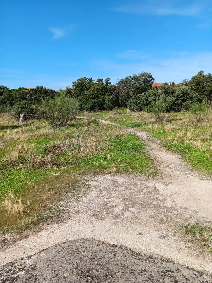 Terreno residencial en venta en Calle de Madrid 20, imagen 13