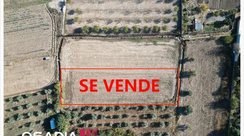 Foto 2 de Terreno en venta en Gr-3202, Castaño - Mirasierra, Granada