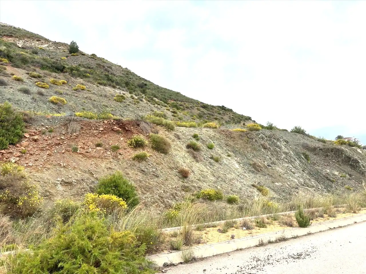 Terreni e lotti in vendita a Sierra Gorda, imagen 9