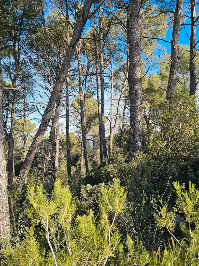 Residential zum Verkauf in Carrer de Sitges, 9, Cabrera d'Anoia