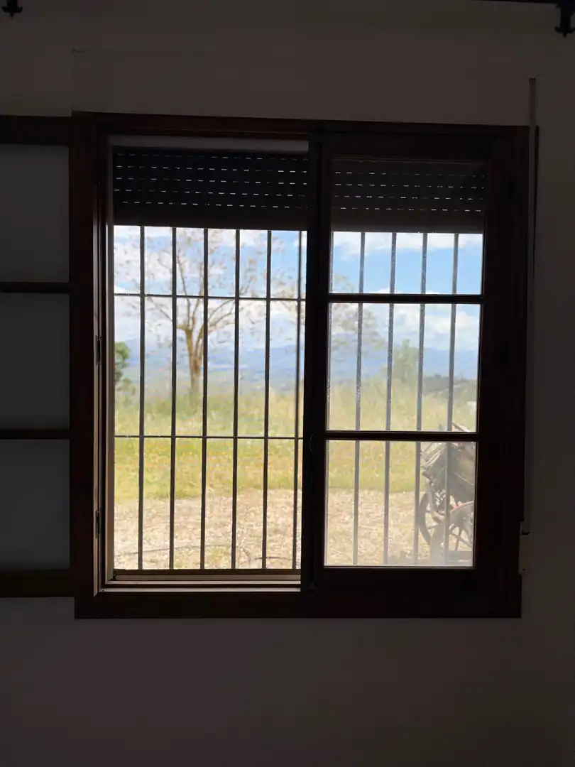 Jardín de Finca rústica en venta en Centro