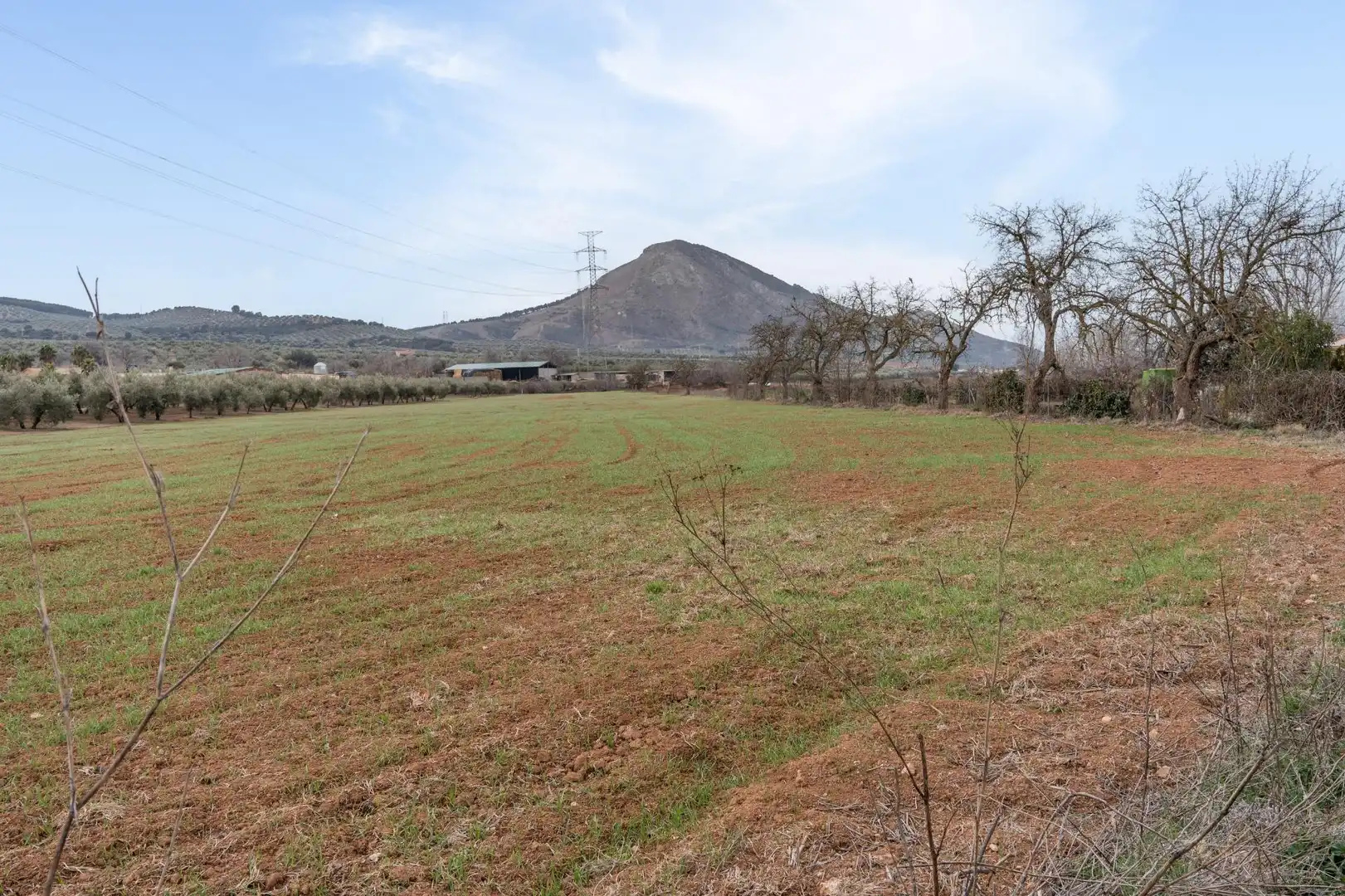 Terrenys i solars en venda a Polígono 23 Parcela 63 LA ZANJA. ALBOLOTE (GRANAD 23, imagen 27