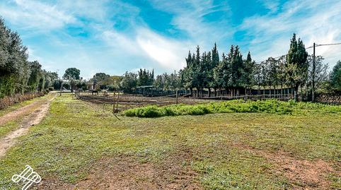Photo 5 of Country house for sale in Algaida, Illes Balears