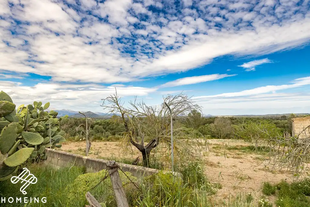 Country homes for sale in Costitx  with Private garden and Terrace