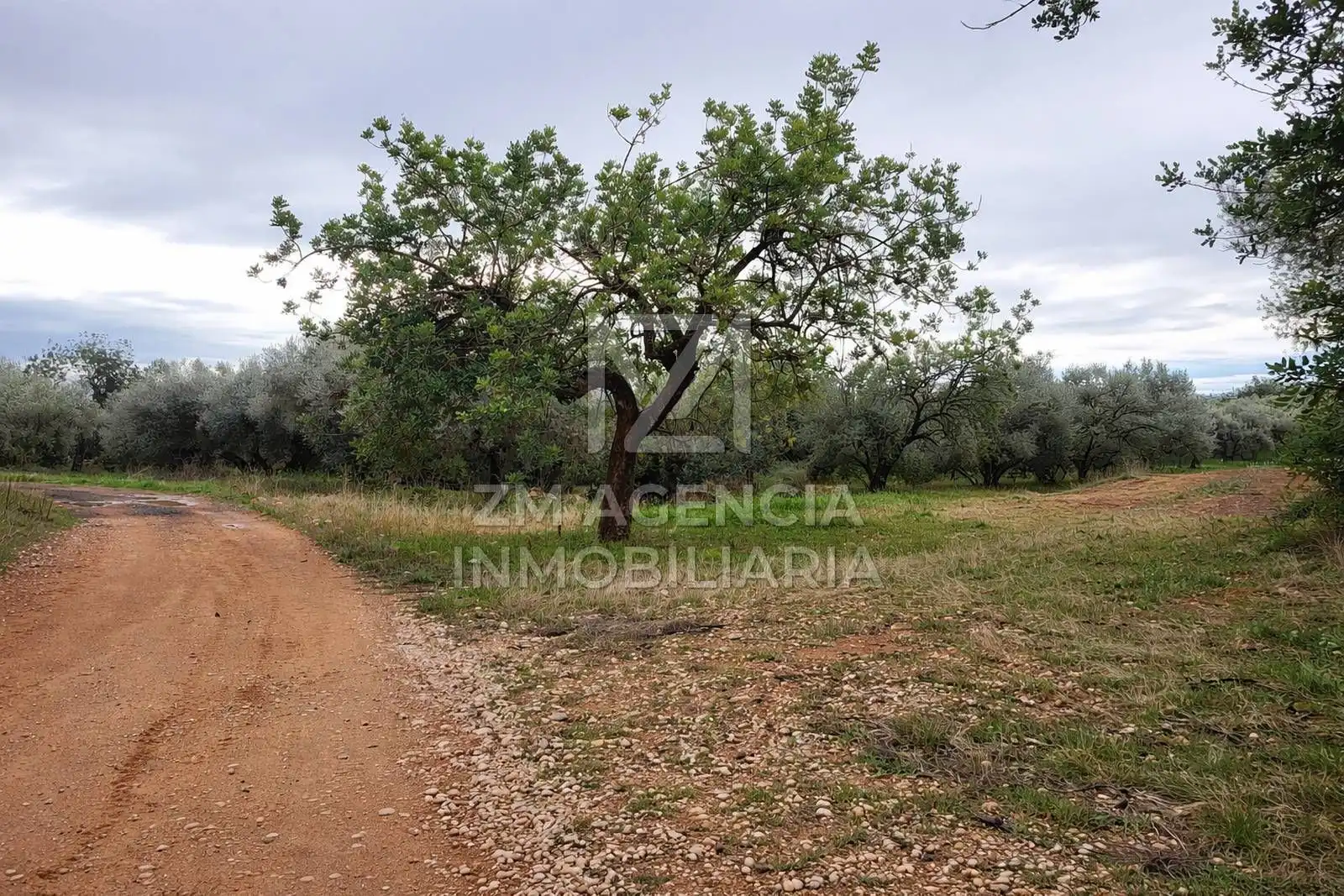 Terreno rustico in vendita a Cabanes, imagen 27