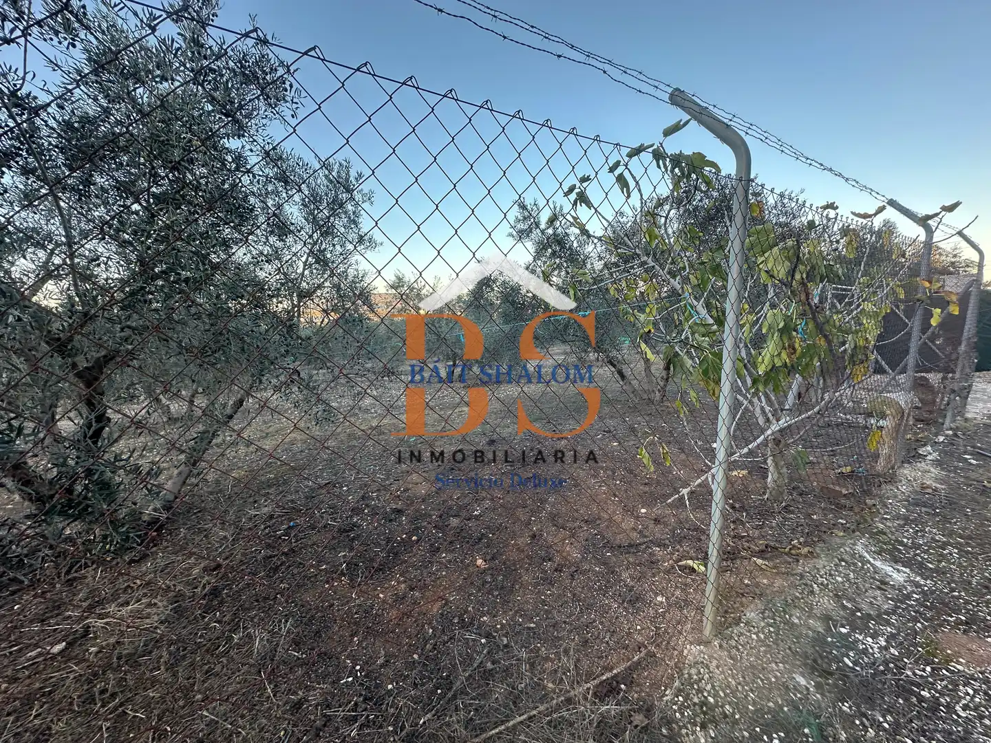 Rural land for sale in Mollina, imagen 7