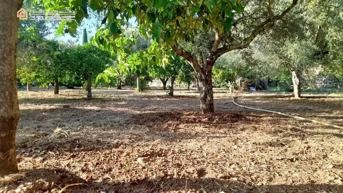 Country house with pool for sale in ma-2123 2, imagen 25