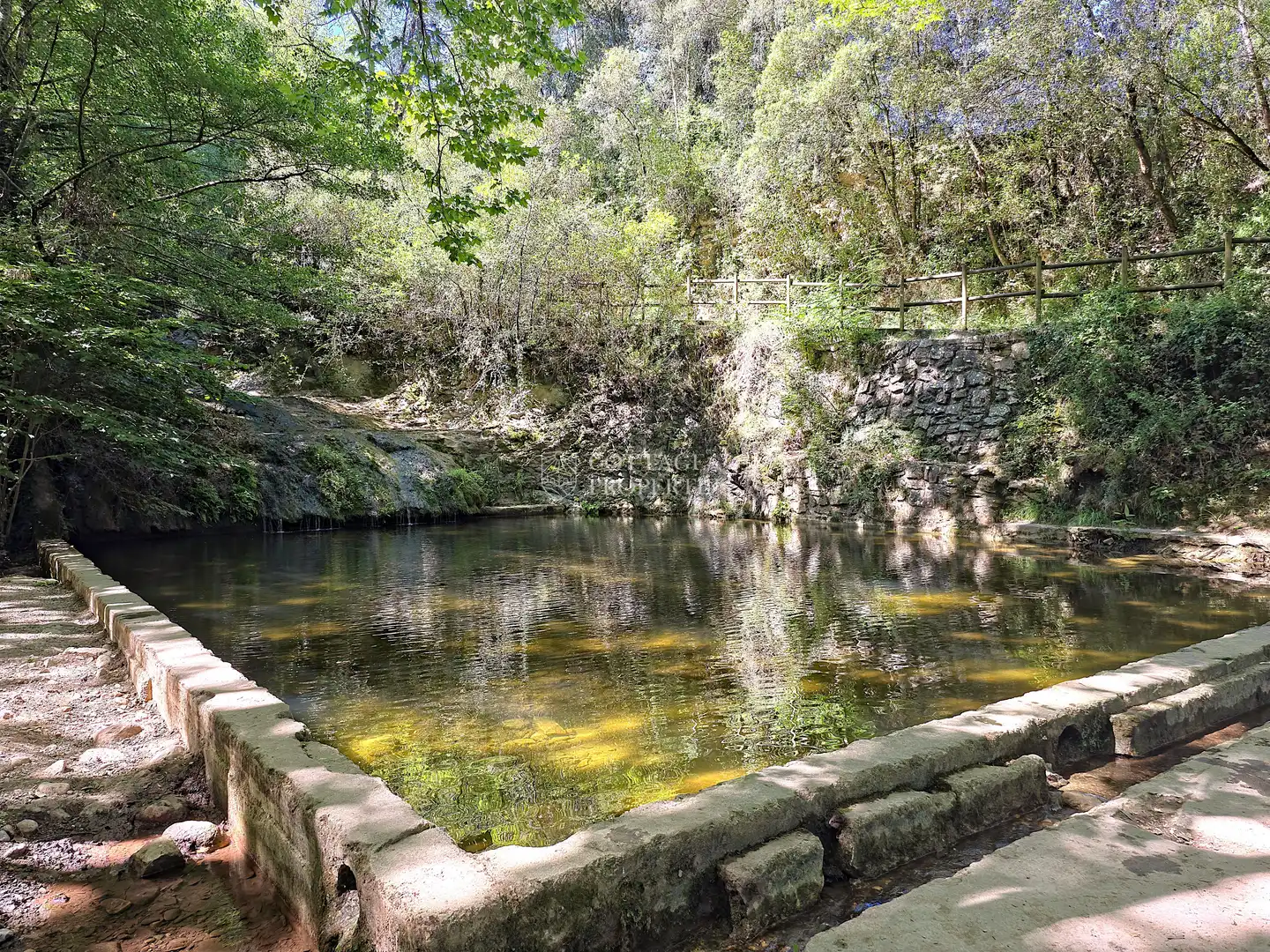 Casa rustica con giardino in vendita a Diseminat Afores, imagen 51