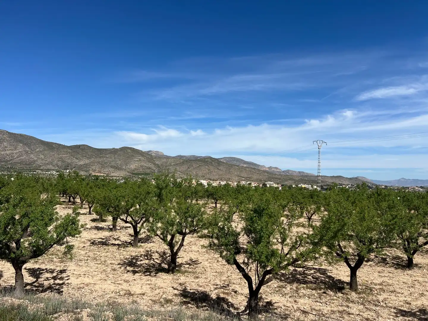 Terreno rustico in vendita a Hondón de los Frailes, imagen 8
