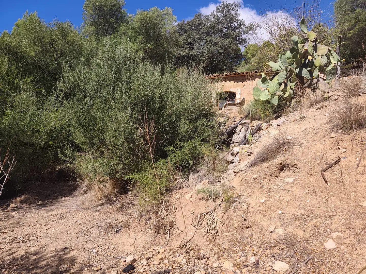 Terreny rústic en venda a Andratx pueblo, imagen 18