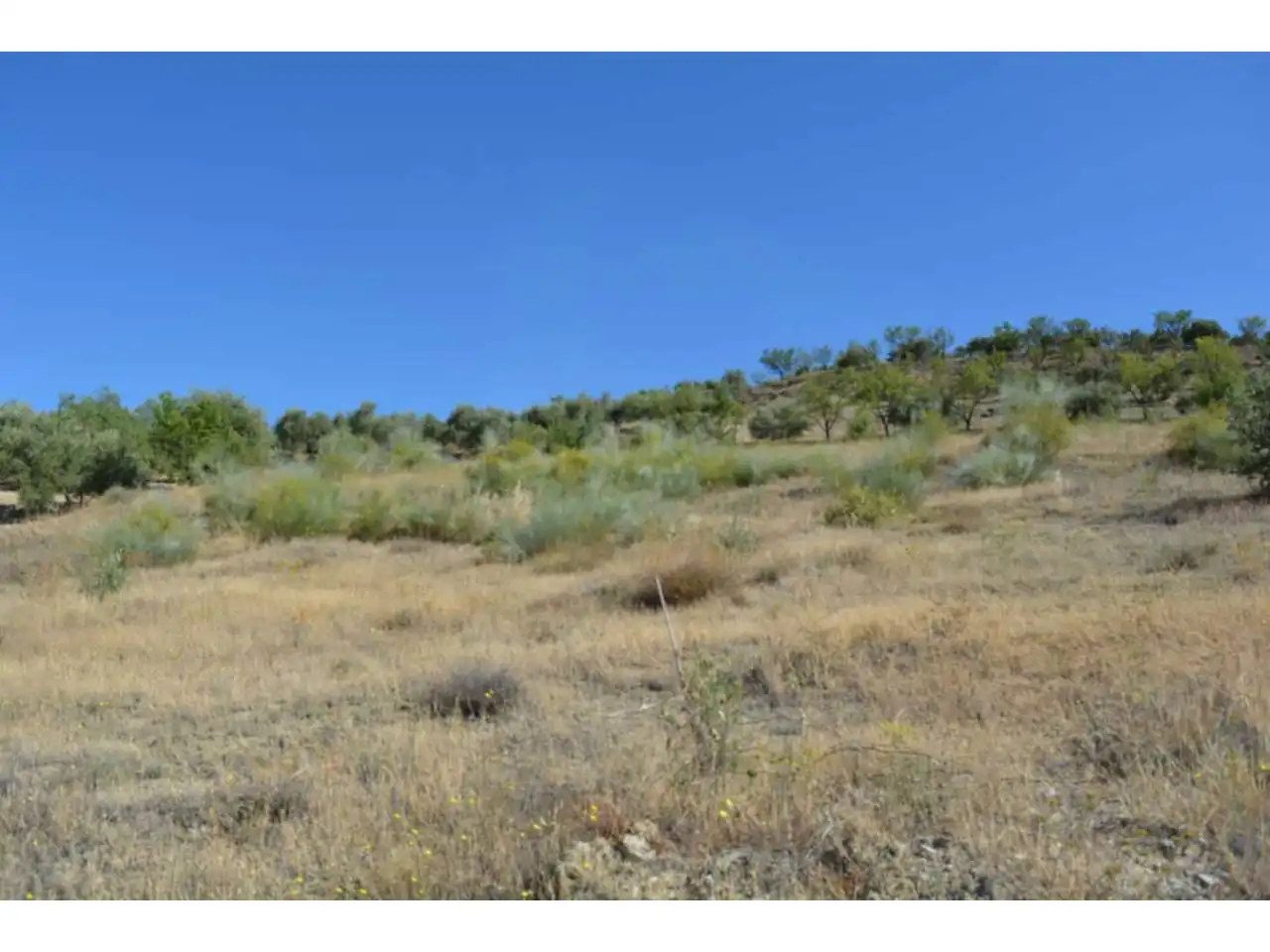 Lands and plots for sale in Plaza Iglesia 1, imagen 22