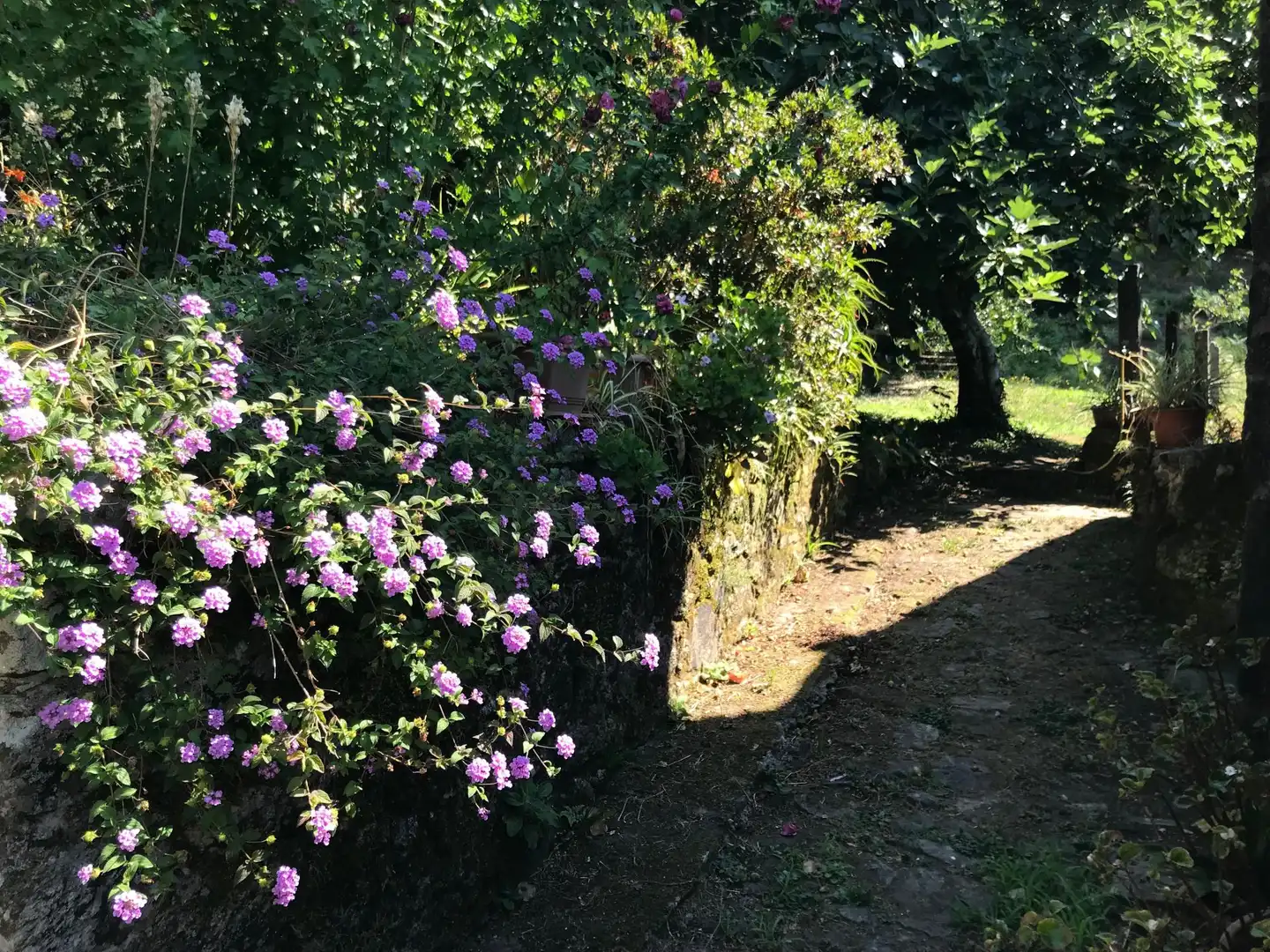 Jardín de Finca rústica en venta en Rois con Calefacción y Piscina