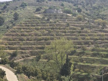 Terreno rustico in vendita a Polígono Tesoro Poligono