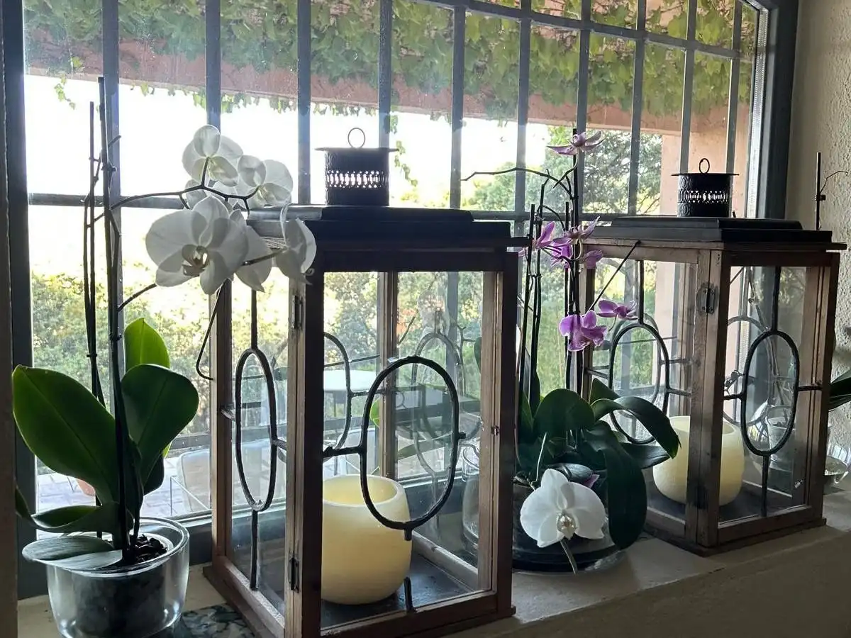 Terraza de Casa o chalet en venta en Torrelodones con Calefacción, Terraza y Piscina