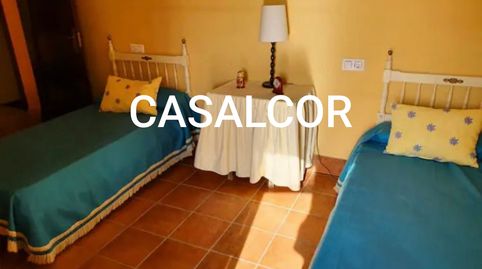 Foto 4 de Casa o chalet de alquiler en Mairena del Alcor, Sevilla