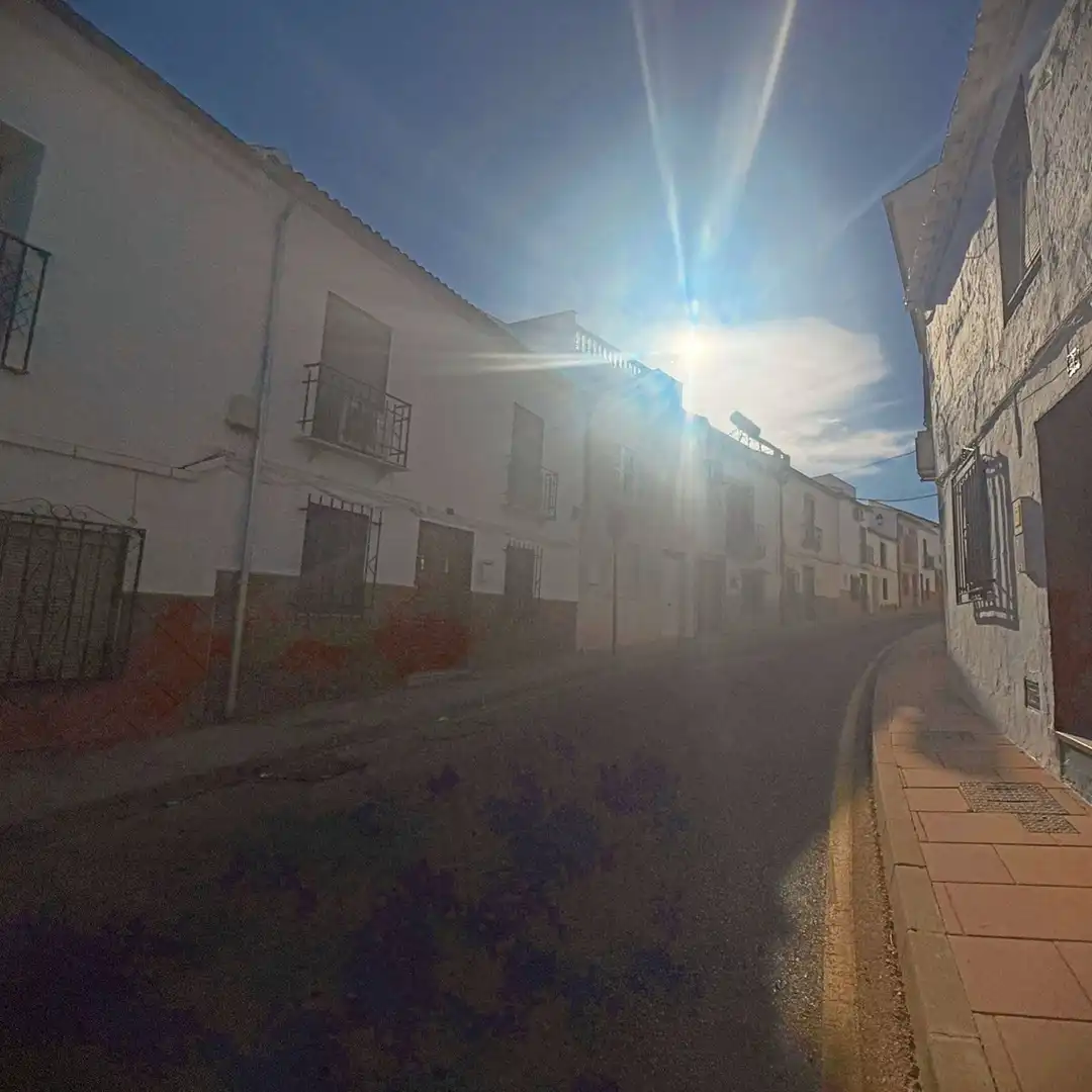 Detached homes for sale