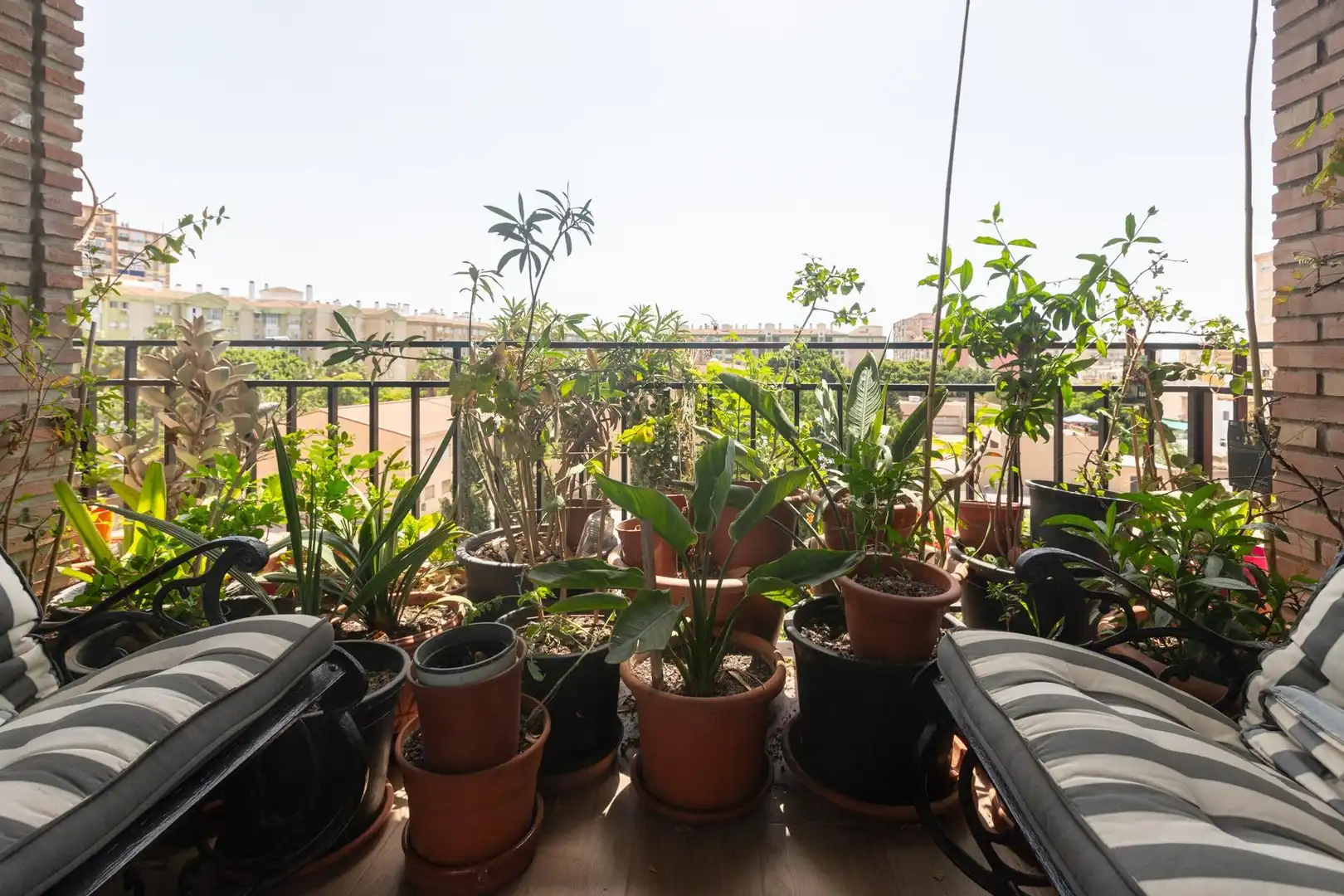 Terrassa de Pis en venda en Málaga