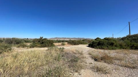 Photo 5 of Residential for sale in Diputacion de la Fuente, 351, Pulpí pueblo, Almería