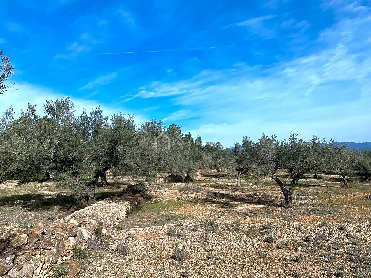 Terreno rustico in vendita a Planas, imagen 6