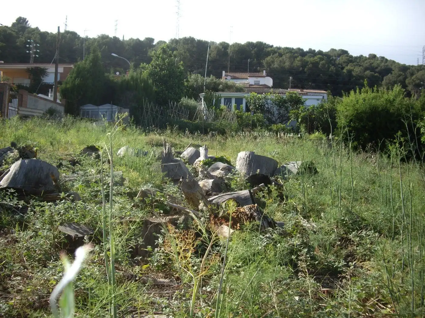 Residential land for sale in Carrer de la Troana 27, imagen 7