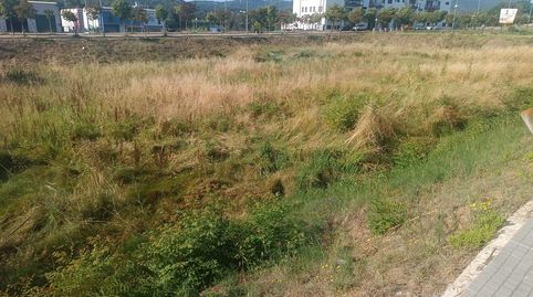 Terrenos en tordera, imatge 5